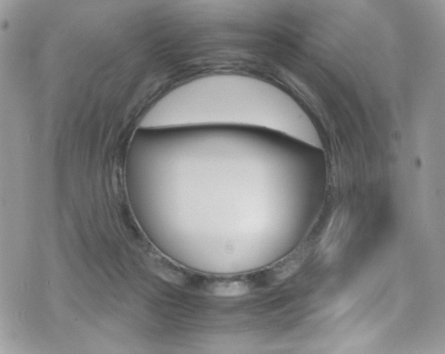 X0000071970169200607071047