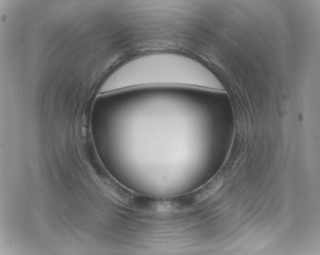 X0000071970264200607071045