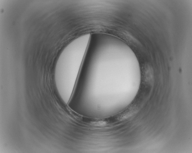 X0000071970266200607071045