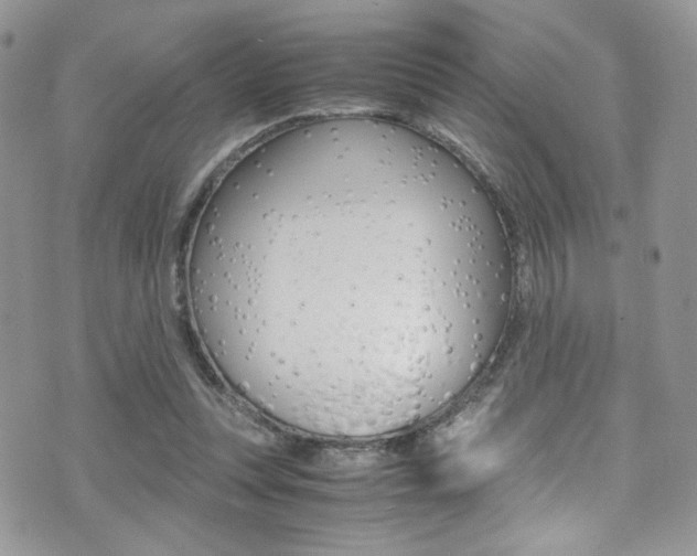 X0000071970351200607071043