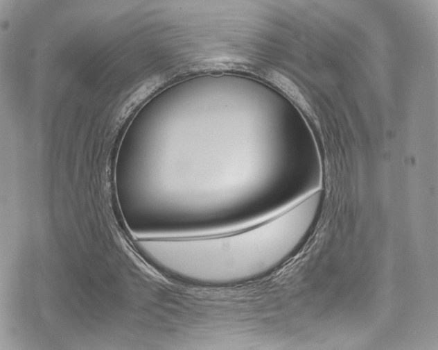 X0000071970389200607071043