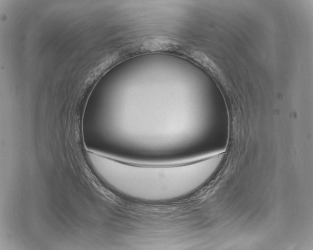 X0000071970393200607071043
