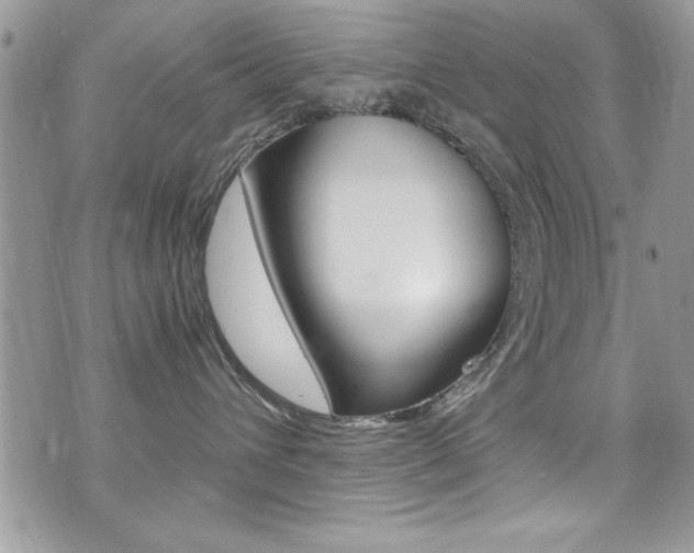 X0000071970432200607071042