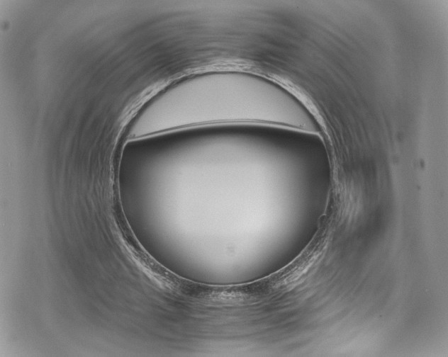 X0000071970437200607071042
