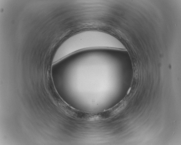 X0000071970456200607071042