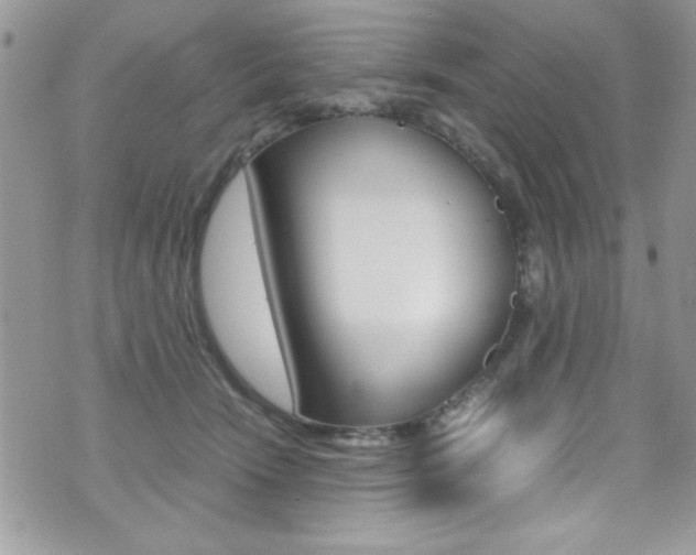X0000071970466200607071042