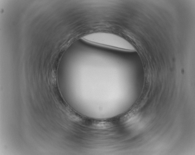X0000071970467200607071042