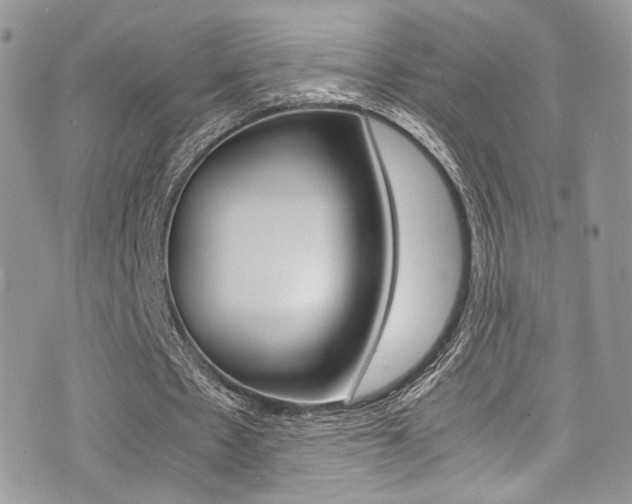 X0000071970481200607071041