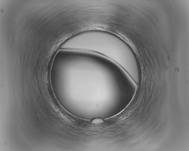 X0000071970485200607071041