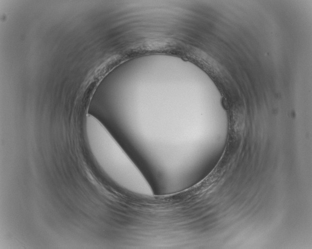 X0000071970542200607071040