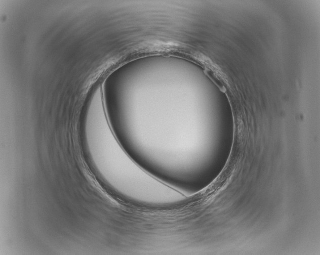 X0000071970581200607071040