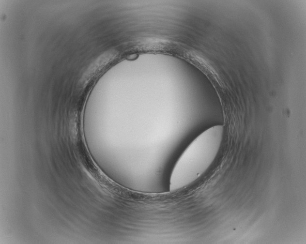 X0000071970586200607071040