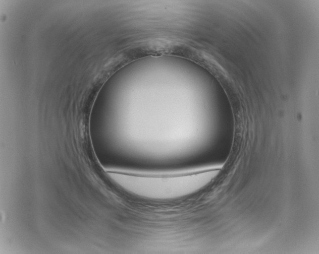 X0000071970597200607071040