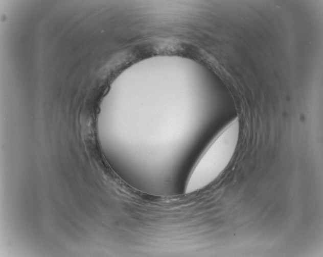 X0000071970619200607071039
