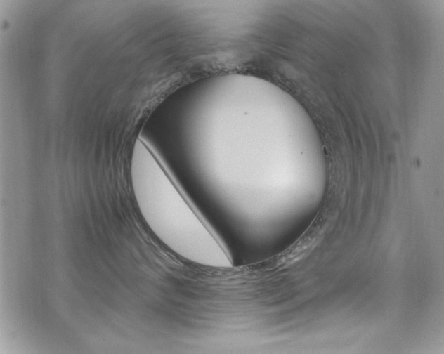 X0000071970624200607071039