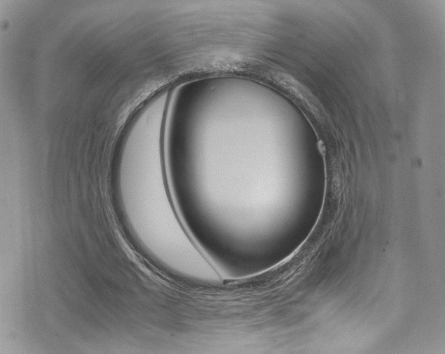 X0000071970677200607071038