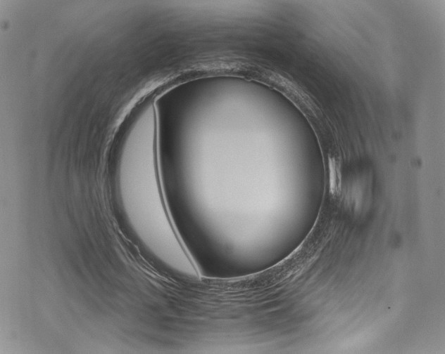 X0000071970723200607071037