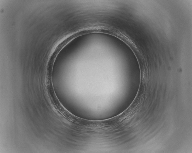 X0000071970724200607071037