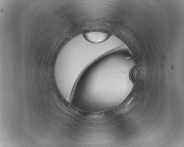 X0000071970756200607071037