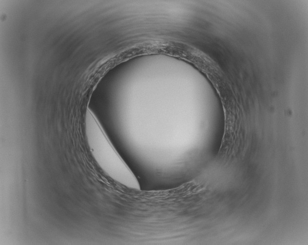X0000071970773200607071037