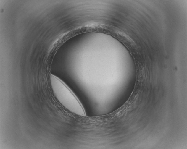 X0000071970776200607071037