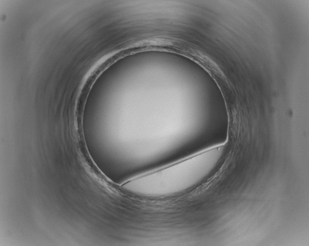 X0000071970784200607071037