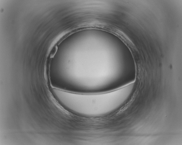X0000071970788200607071036