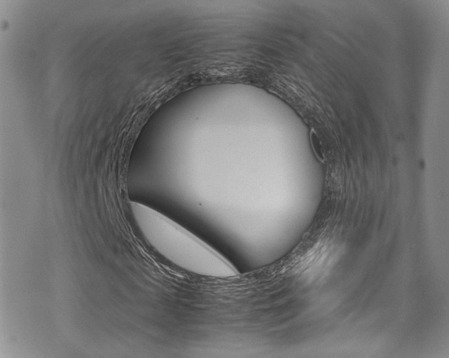 X0000071970817200607071035
