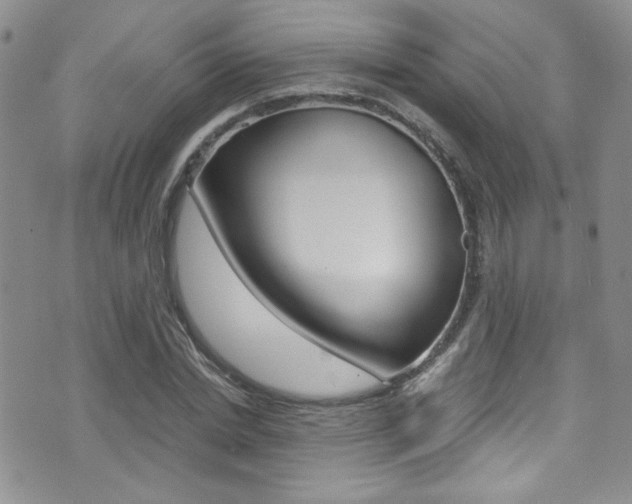 X0000071970830200607071035