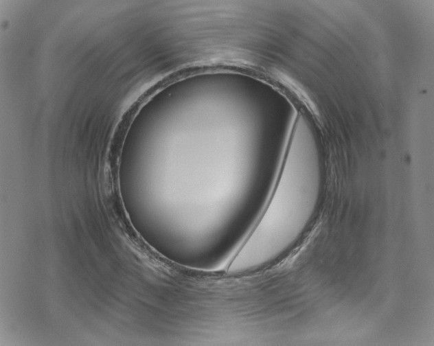 X0000071970876200607071035