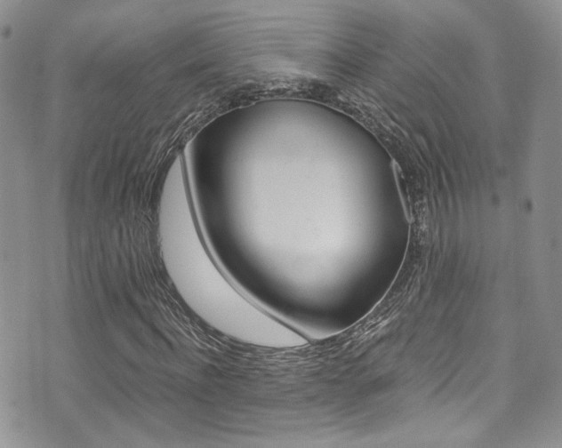X0000071970916200607071034