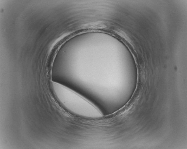 X0000071970971200607071033