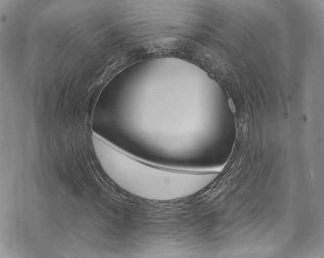 X0000071971012200607071032