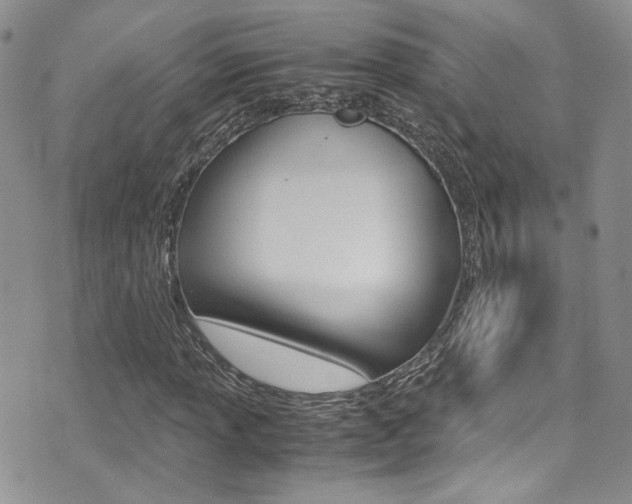 X0000071971013200607071032