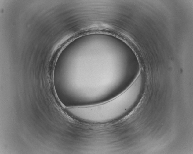 X0000071971018200607071032