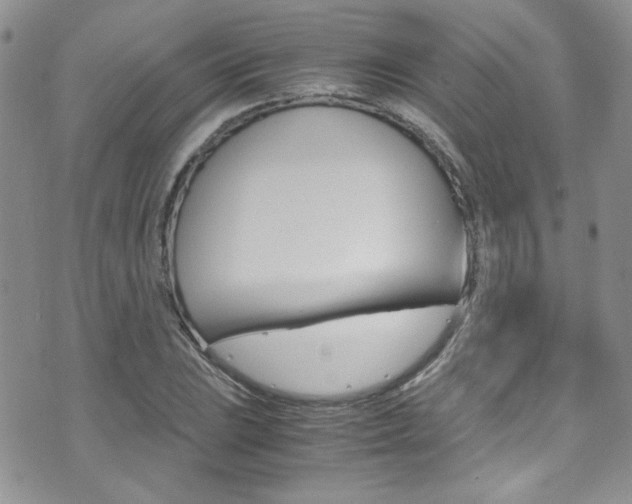 X0000071971023200607071032