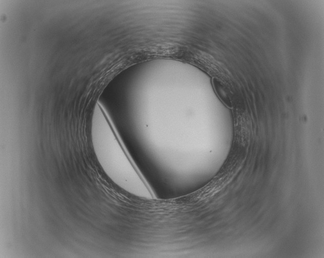 X0000071971058200607071032