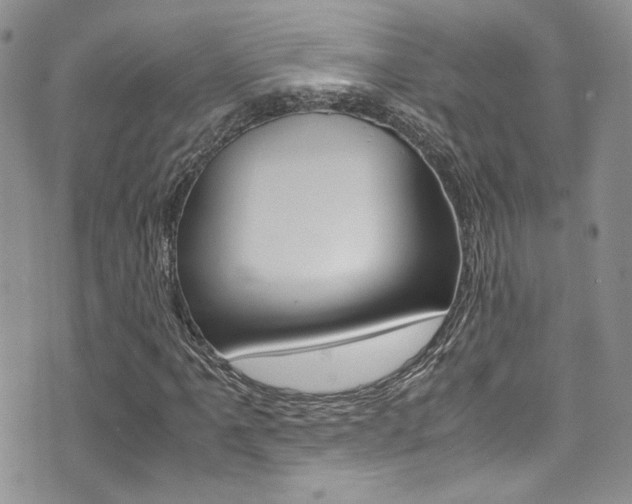 X0000071971061200607071032