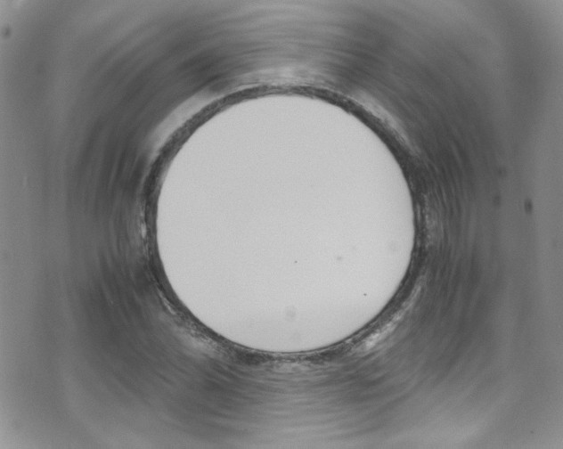 X0000071971070200607071032