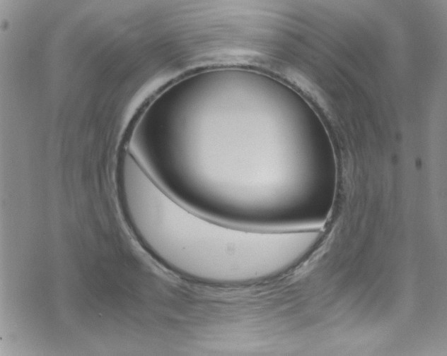 X0000071971085200607071032