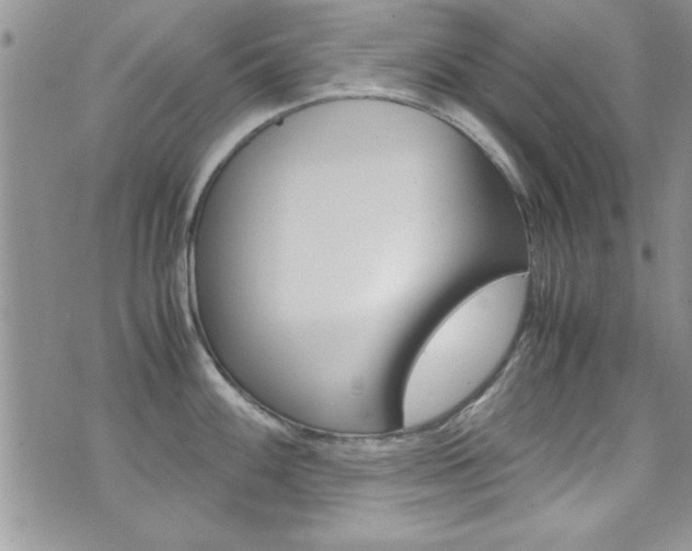 X0000071971100200607071031