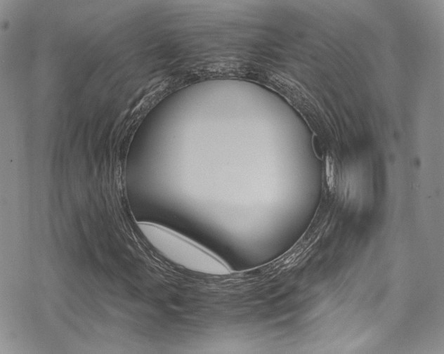 X0000071971107200607071031