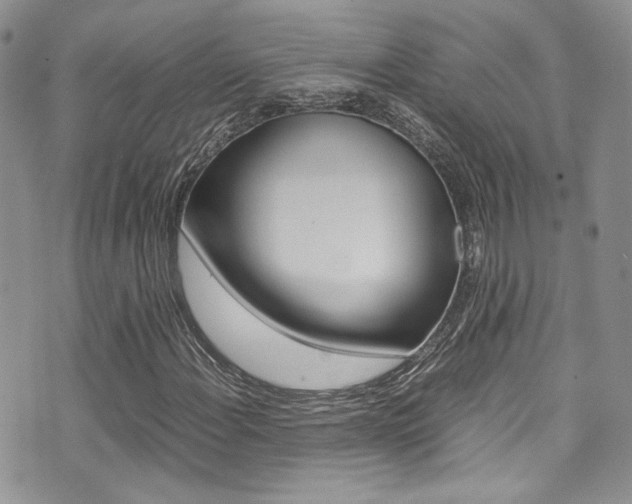 X0000071971108200607071031