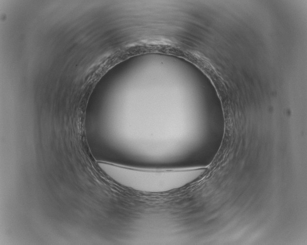 X0000071971110200607071031
