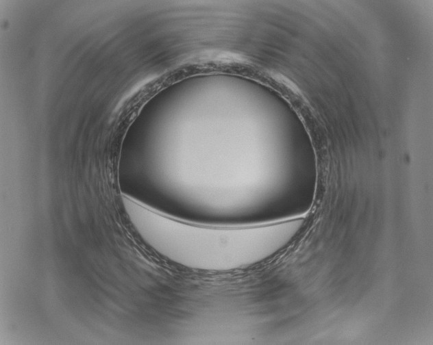 X0000071971112200607071031