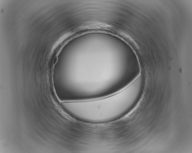 X0000071971114200607071031