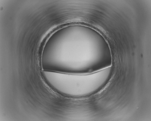 X0000071971118200607071031