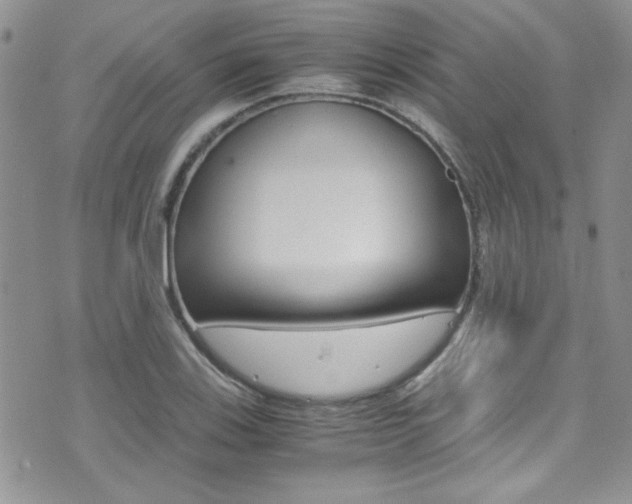 X0000071971123200607071031