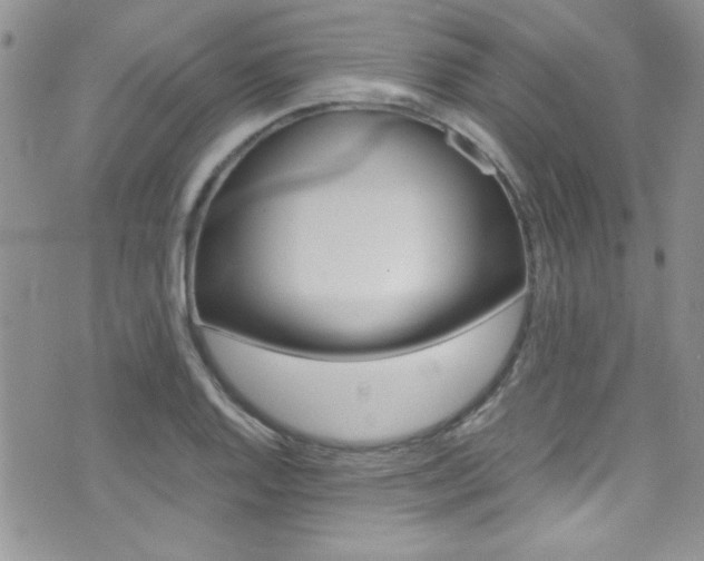 X0000071971128200607071031