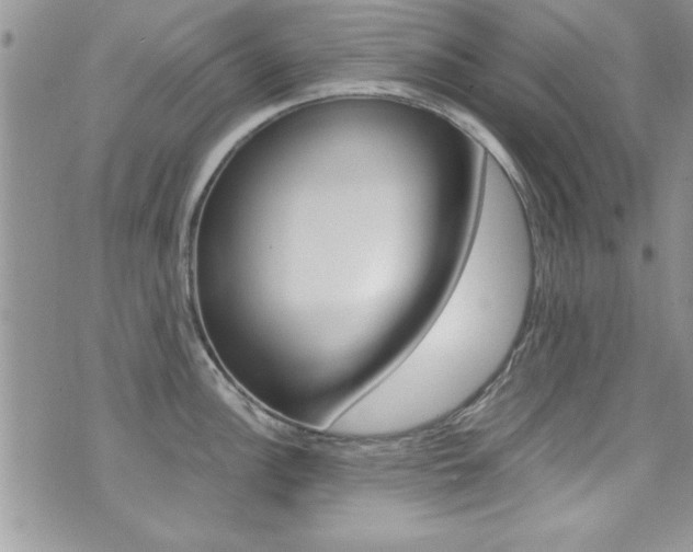 X0000071971148200607071031